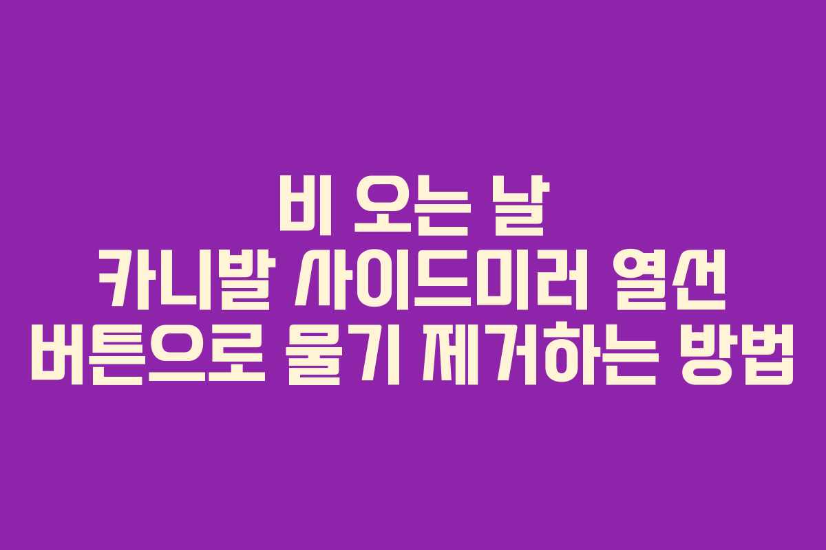 비 오는 날 카니발 사이드미러 열선 버튼으로 물기 제거하는 방법
