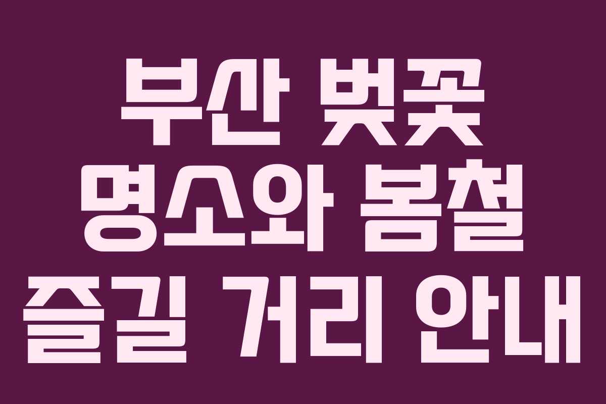 부산 벚꽃 명소와 봄철 즐길 거리 안내