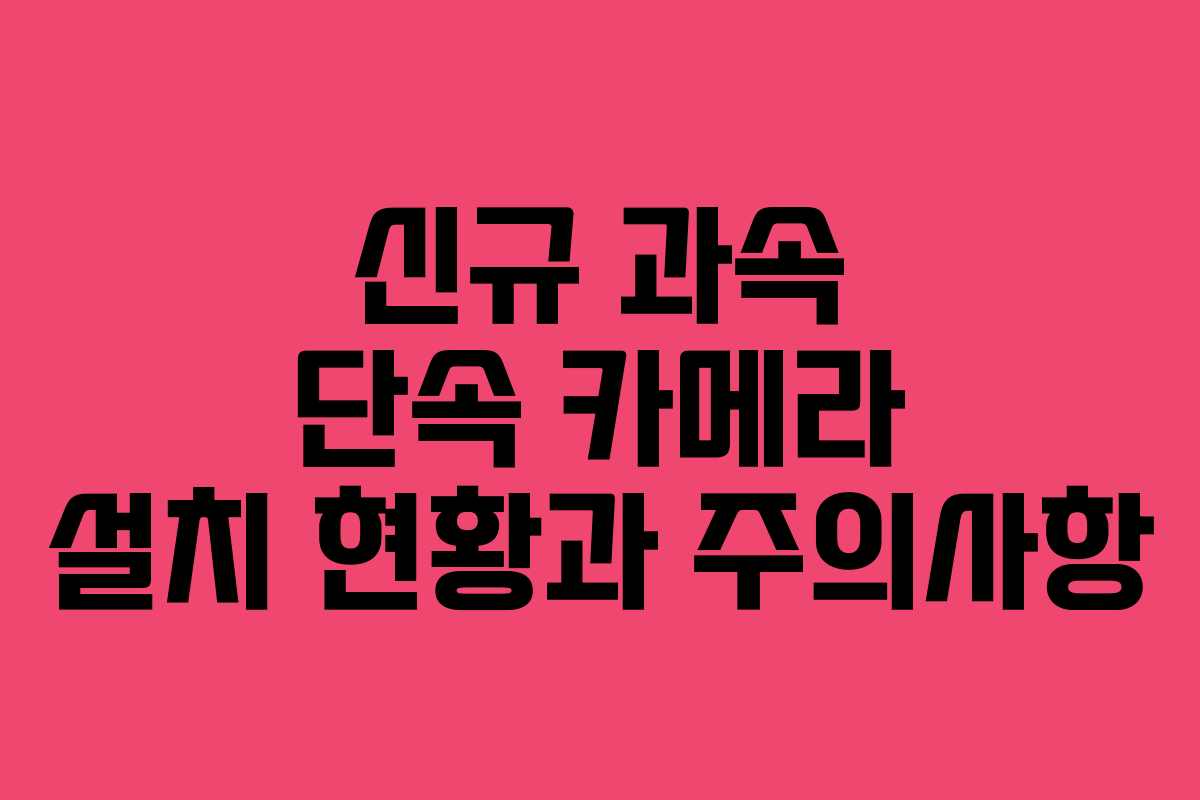 신규 과속 단속 카메라 설치 현황과 주의사항