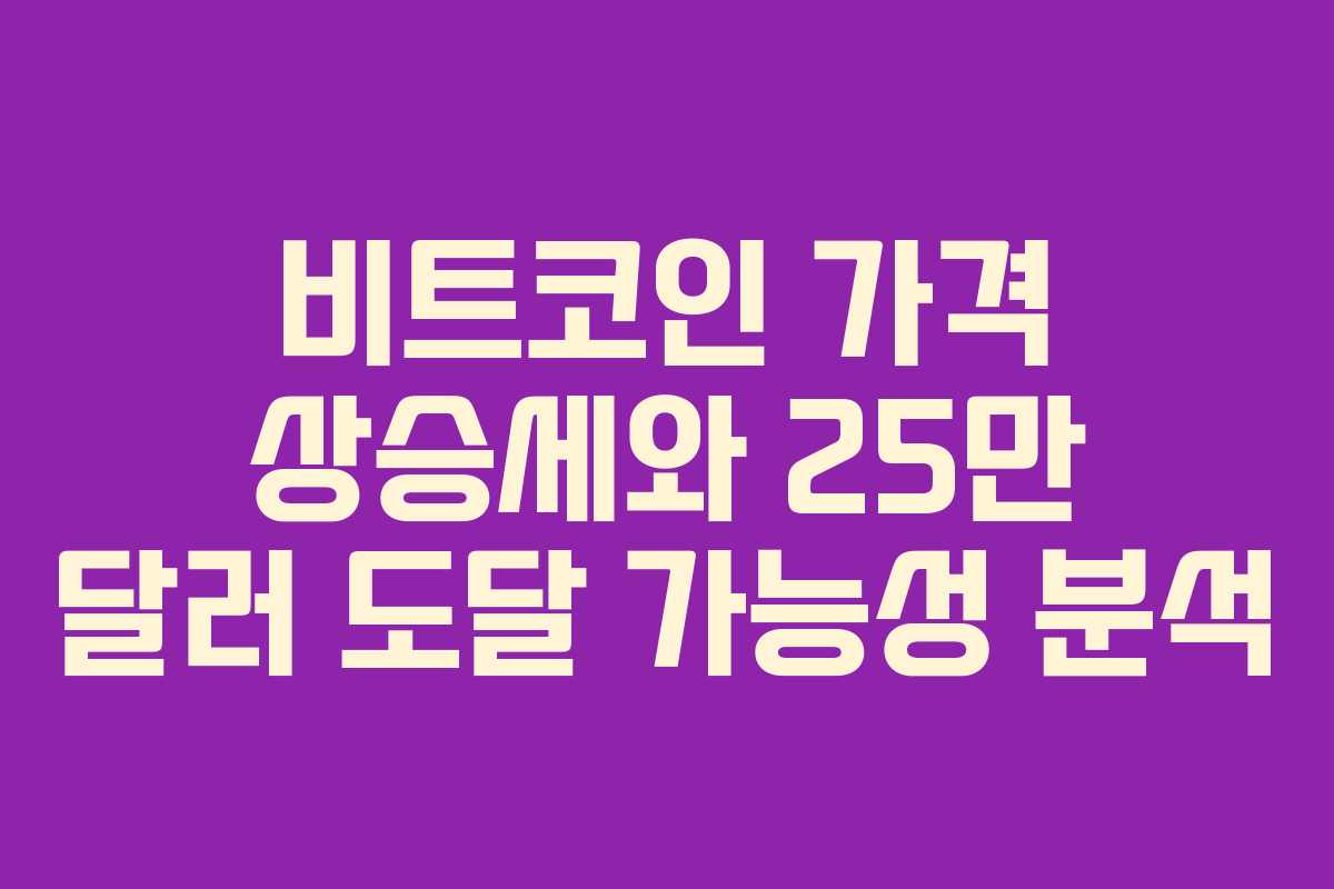 비트코인 가격 상승세와 25만 달러 도달 가능성 분석