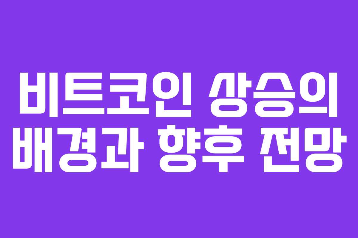 비트코인 상승의 배경과 향후 전망