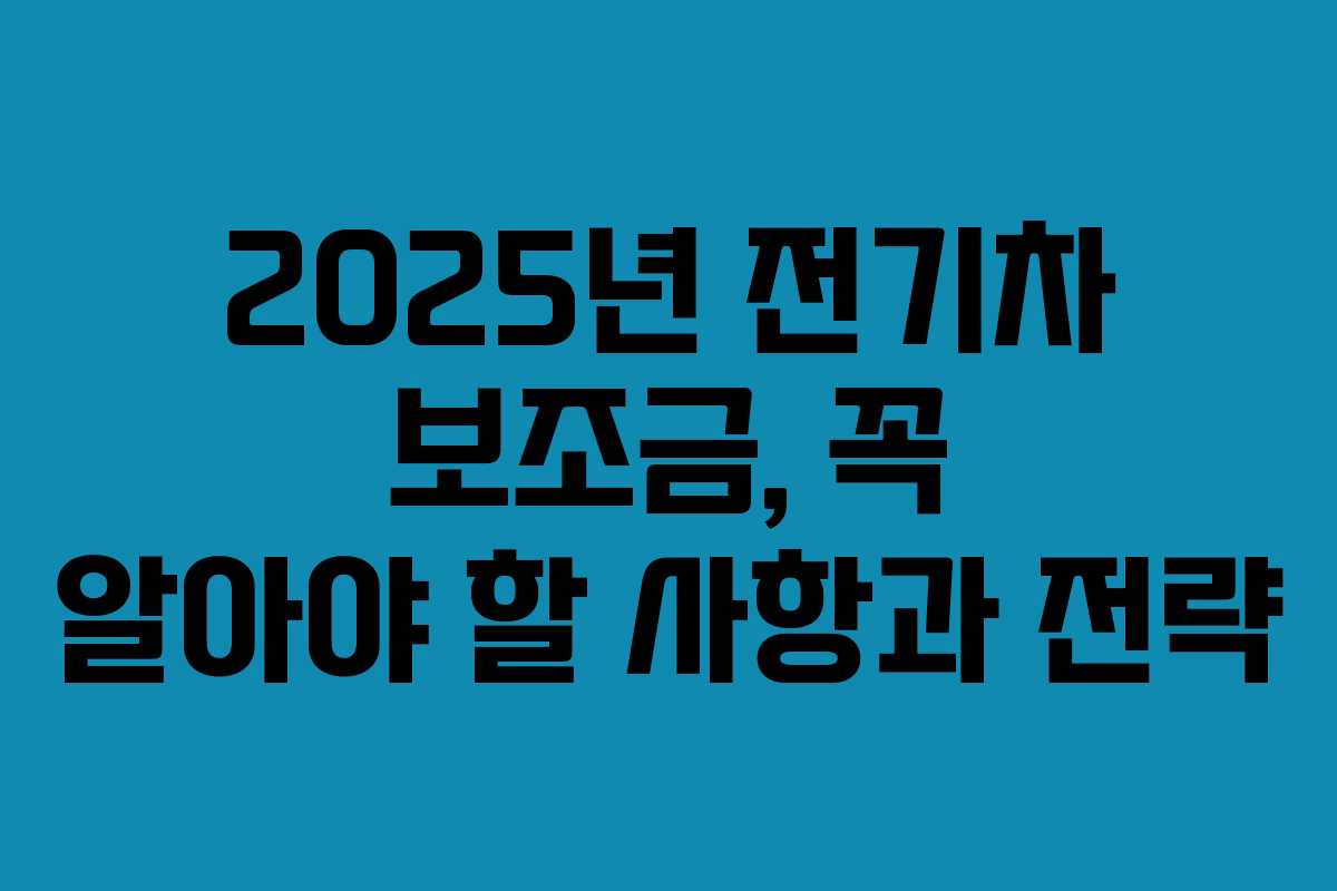 2025년 전기차 보조금, 꼭 알아야 할 사항과 전략