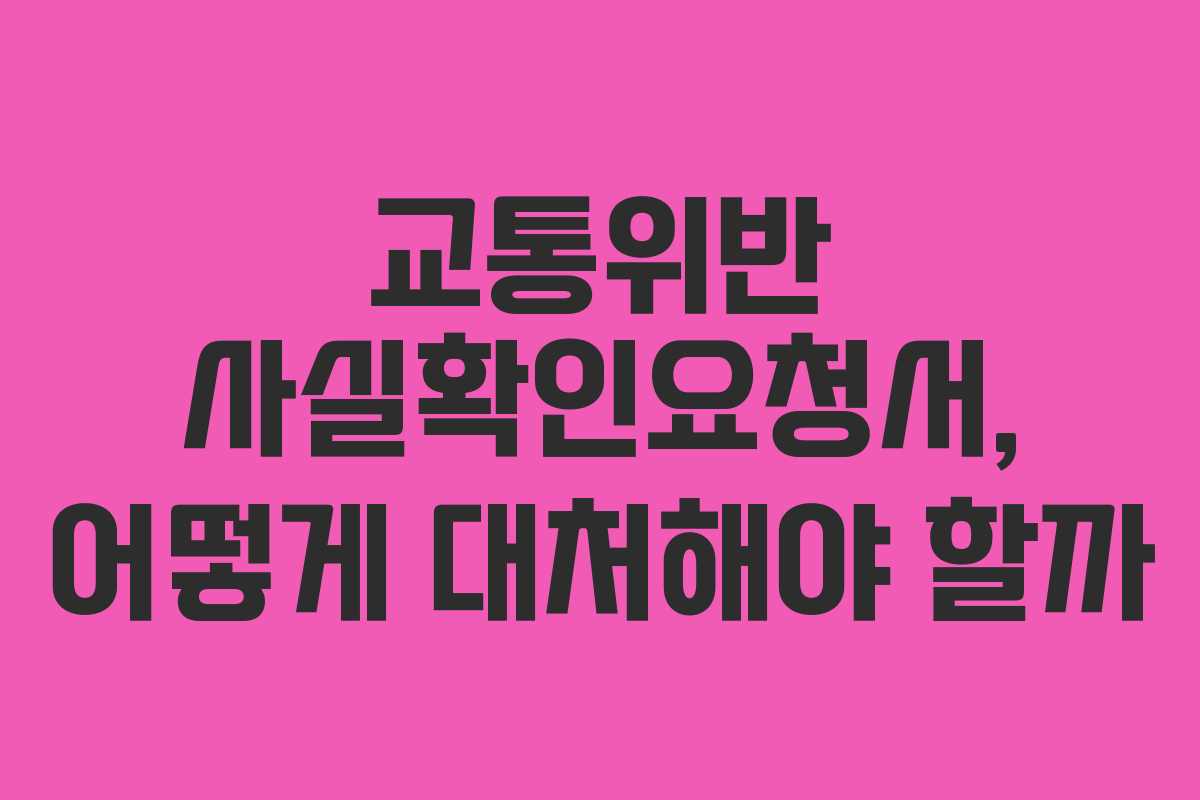 교통위반 사실확인요청서, 어떻게 대처해야 할까