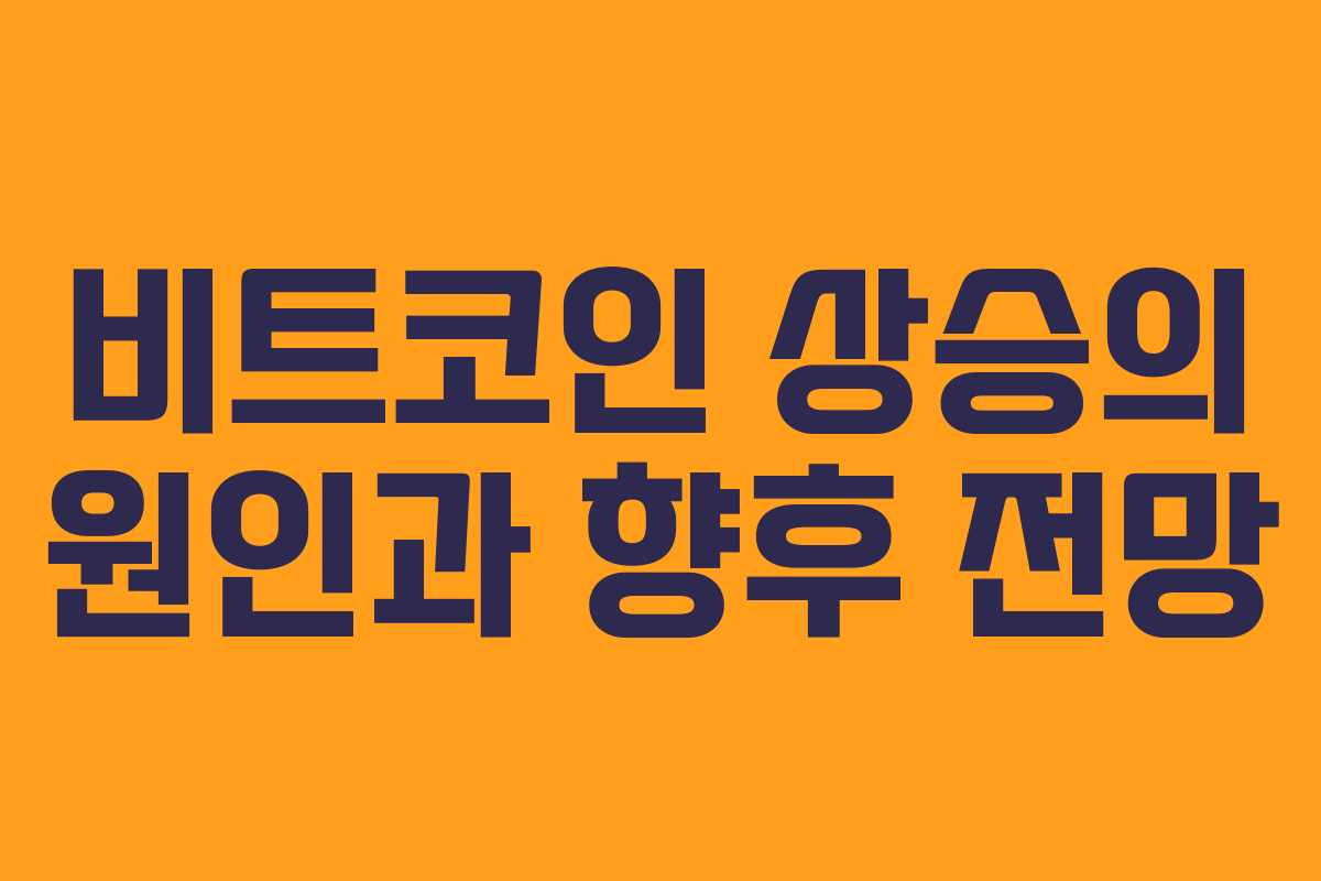 비트코인 상승의 원인과 향후 전망