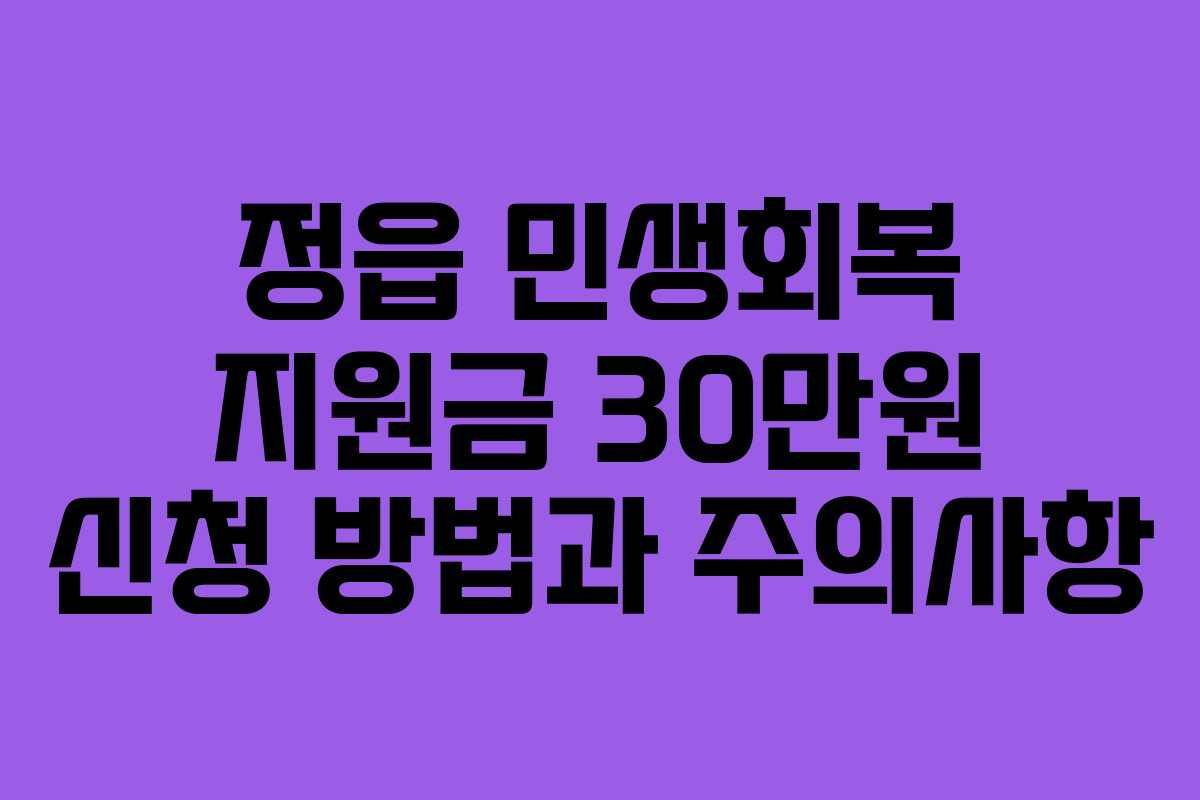 정읍 민생회복 지원금 30만원 신청 방법과 주의사항