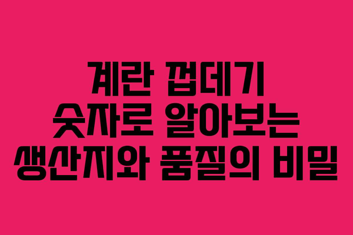계란 껍데기 숫자로 알아보는 생산지와 품질의 비밀
