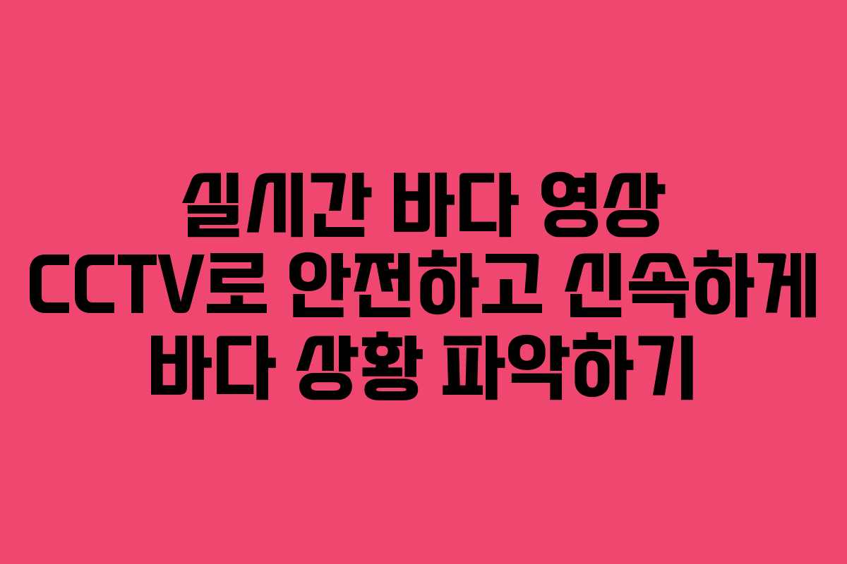 실시간 바다 영상 CCTV로 안전하고 신속하게 바다 상황 파악하기