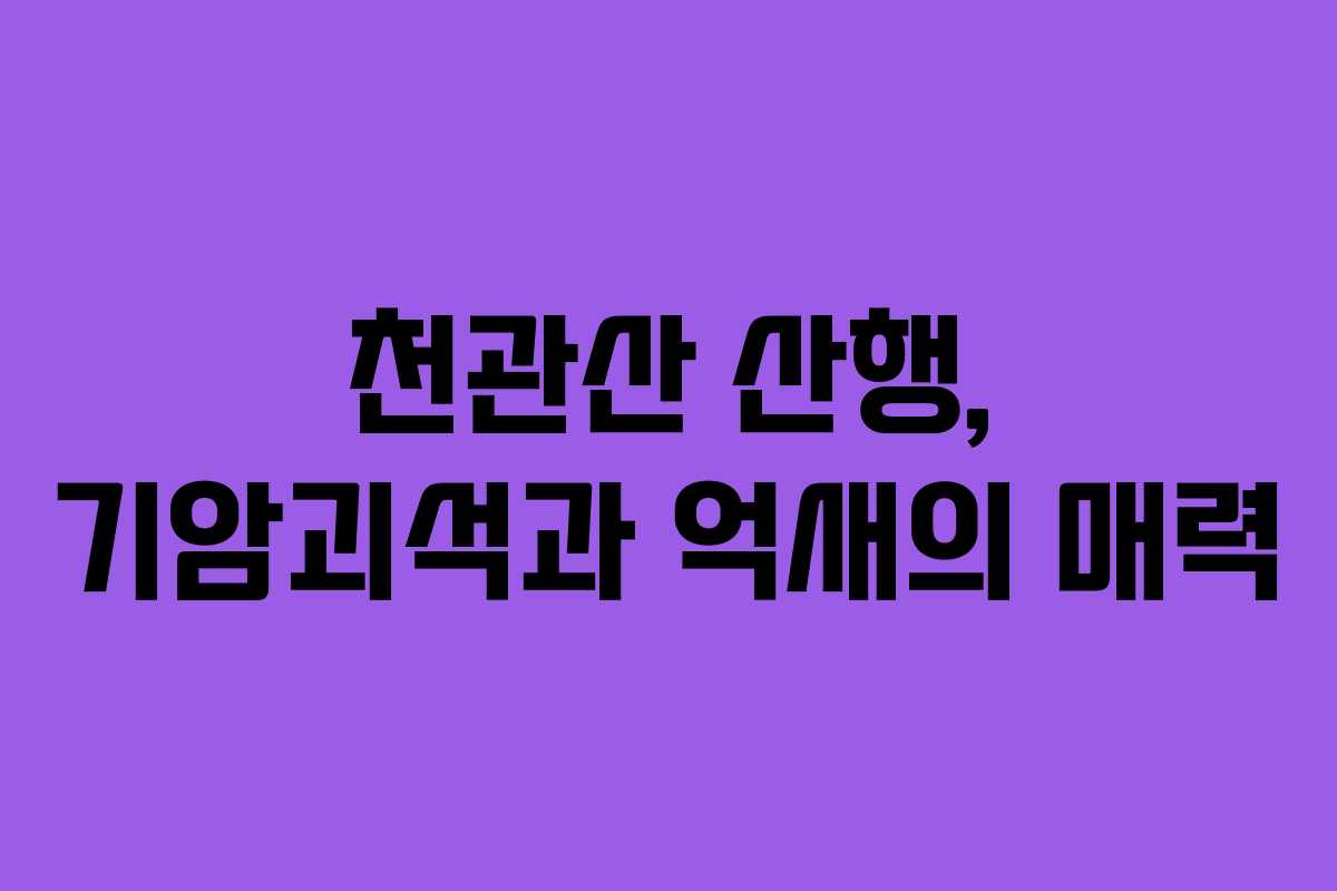 천관산 산행, 기암괴석과 억새의 매력