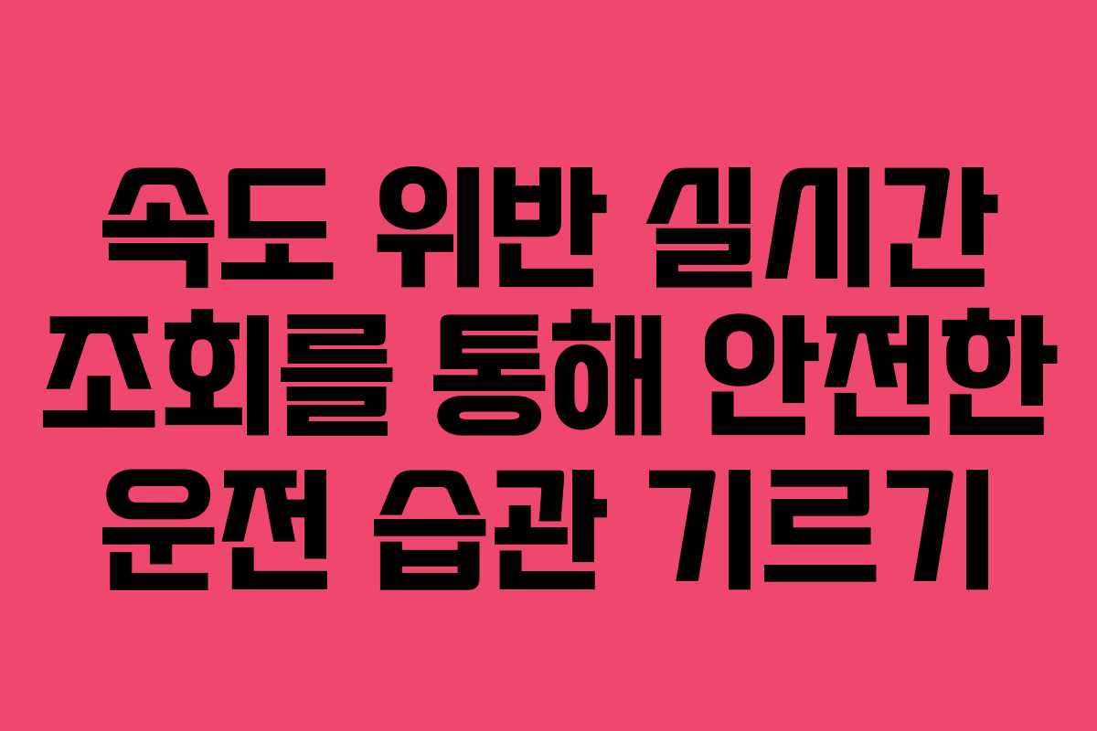 속도 위반 실시간 조회를 통해 안전한 운전 습관 기르기