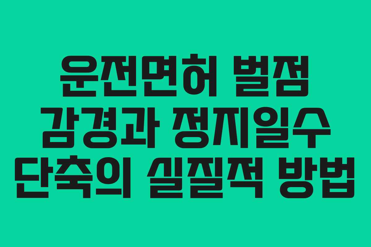 운전면허 벌점 감경과 정지일수 단축의 실질적 방법