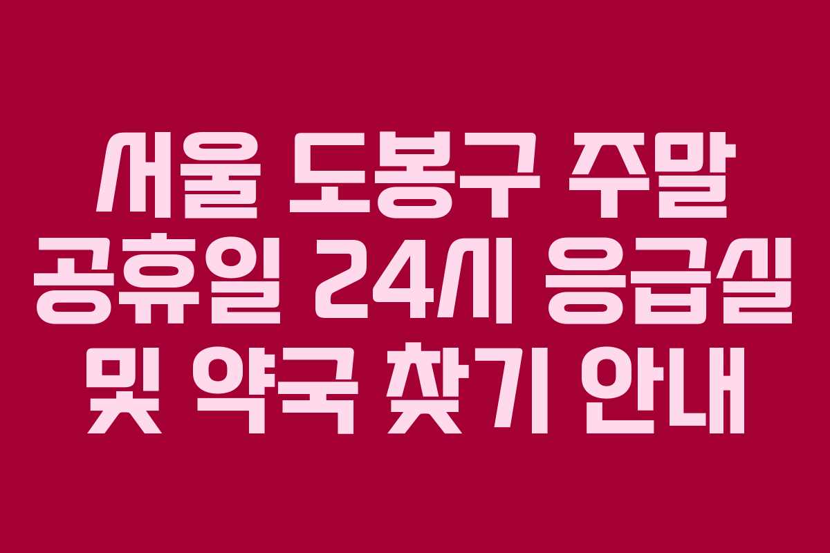 서울 도봉구 주말 공휴일 24시 응급실 및 약국 찾기 안내