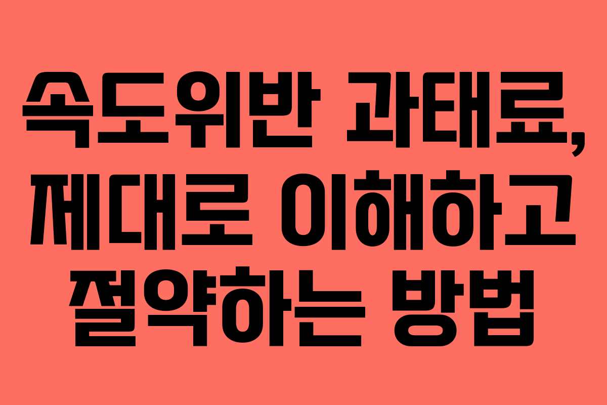 속도위반 과태료, 제대로 이해하고 절약하는 방법