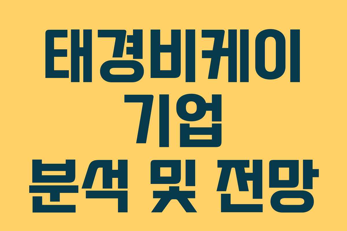 태경비케이 기업 분석 및 전망