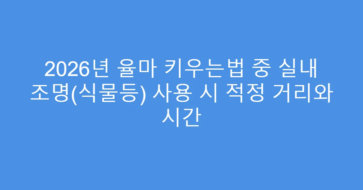 2026년 율마 키우는법 중 실내 조명(식물등) 사용 시 적정 거리와 시간
