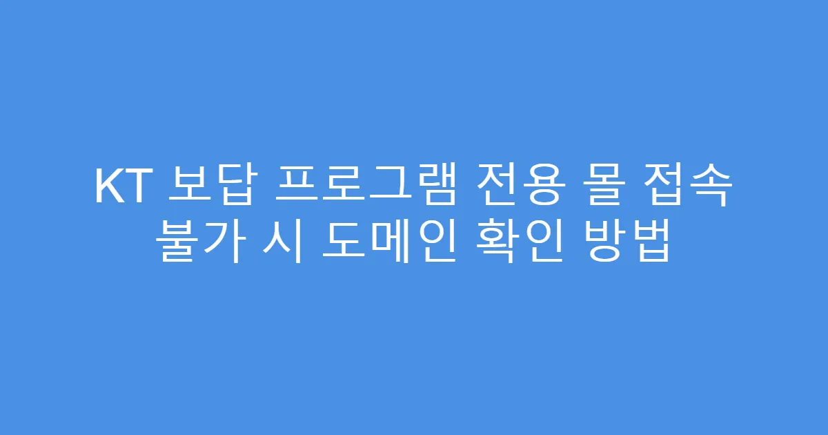 KT 보답 프로그램 전용 몰 접속 불가 시 도메인 확인 방법