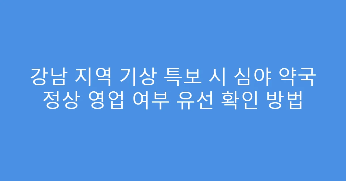 강남 지역 기상 특보 시 심야 약국 정상 영업 여부 유선 확인 방법