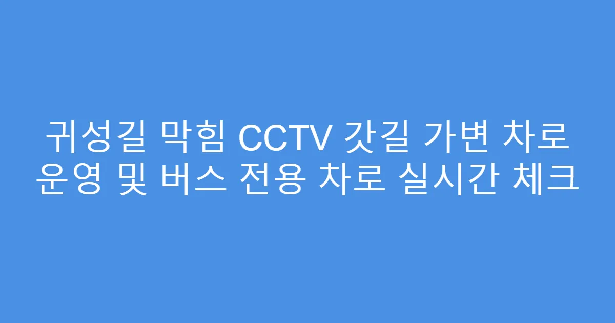 귀성길 막힘 CCTV 갓길 가변 차로 운영 및 버스 전용 차로 실시간 체크