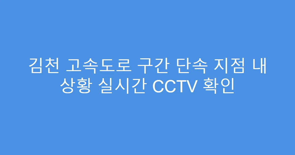 김천 고속도로 구간 단속 지점 내 상황 실시간 CCTV 확인