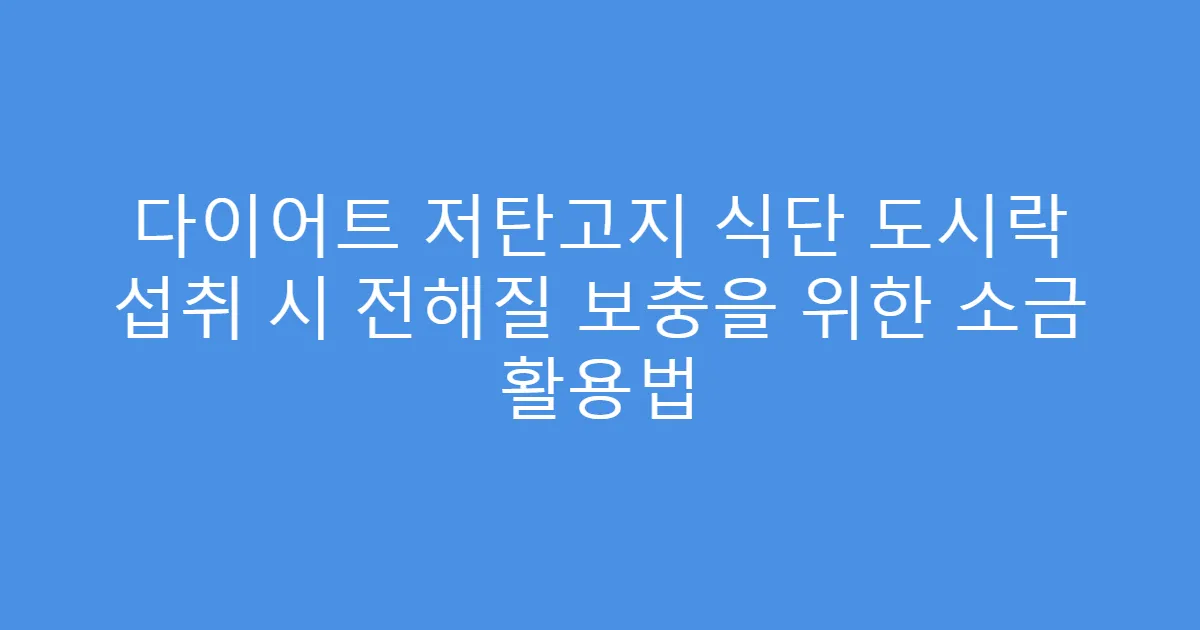다이어트 저탄고지 식단 도시락 섭취 시 전해질 보충을 위한 소금 활용법