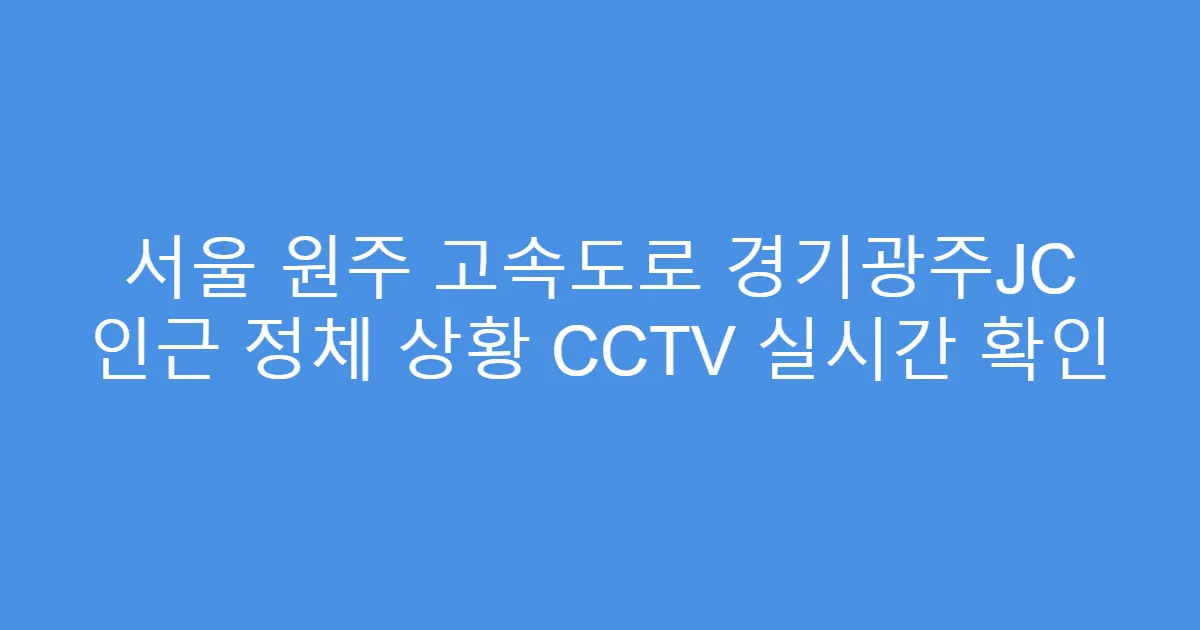 서울 원주 고속도로 경기광주JC 인근 정체 상황 CCTV 실시간 확인