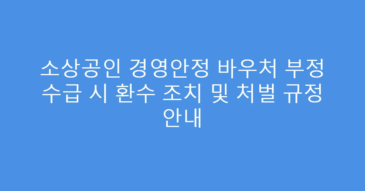 소상공인 경영안정 바우처 부정 수급 시 환수 조치 및 처벌 규정 안내