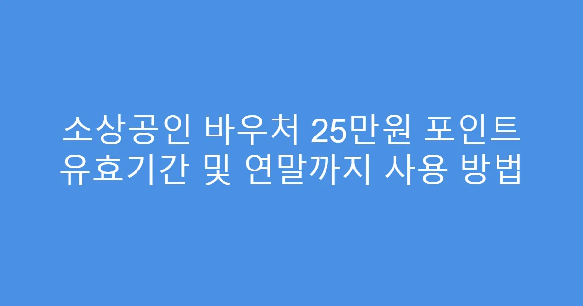 소상공인 바우처 25만원 포인트 유효기간 및 연말까지 사용 방법