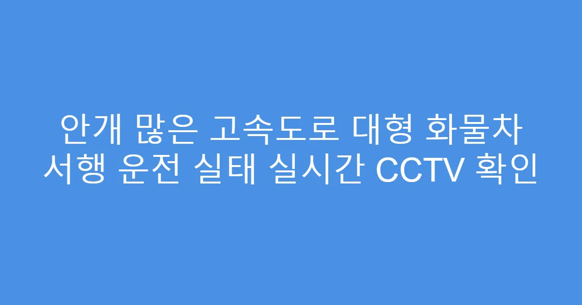 안개 많은 고속도로 대형 화물차 서행 운전 실태 실시간 CCTV 확인