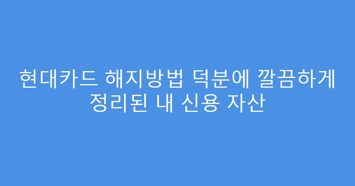 현대카드 해지방법 덕분에 깔끔하게 정리된 내 신용 자산