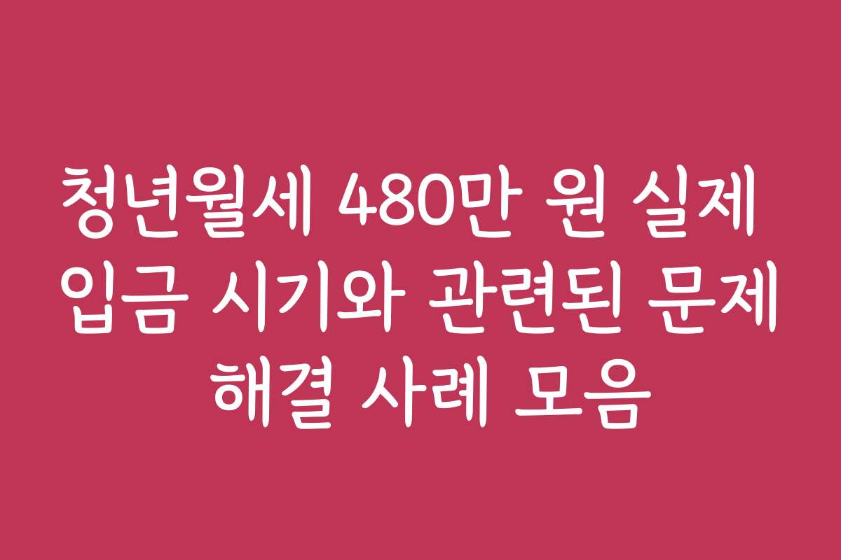청년월세 480만 원 실제 입금 시기와 관련된 문제 해결 사례 모음