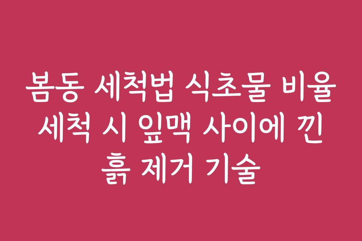 봄동 세척법 식초물 비율 세척 시 잎맥 사이에 낀 흙 제거 기술