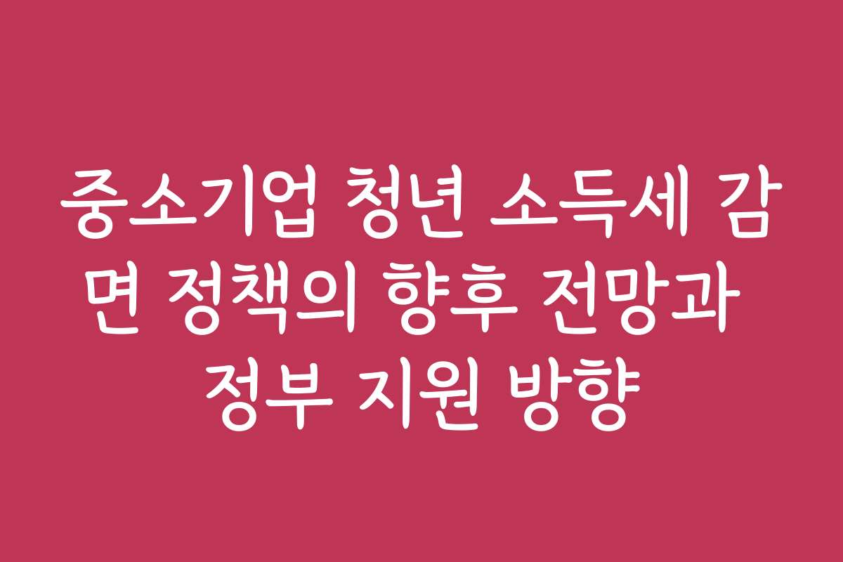 중소기업 청년 소득세 감면 정책의 향후 전망과 정부 지원 방향