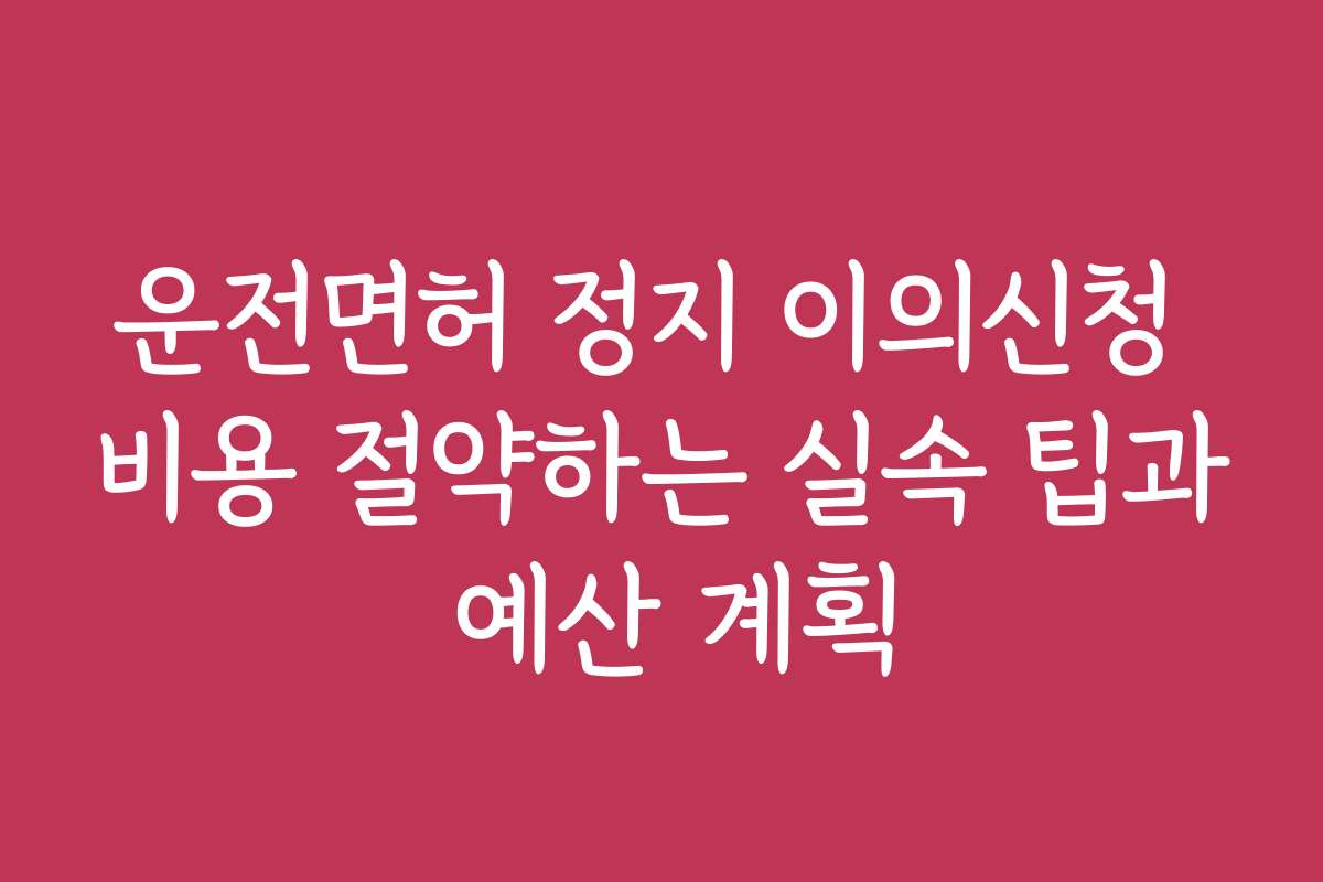 운전면허 정지 이의신청 비용 절약하는 실속 팁과 예산 계획