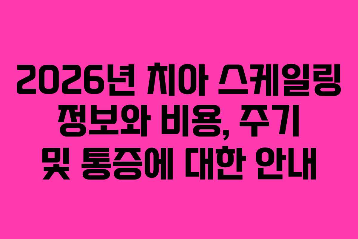 2026년 치아 스케일링 정보와 비용, 주기 및 통증에 대한 안내