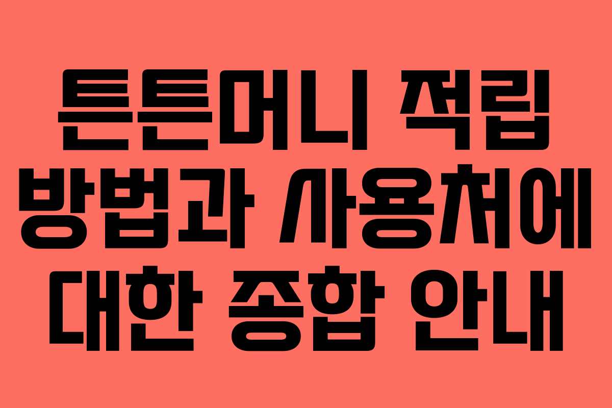 튼튼머니 적립 방법과 사용처에 대한 종합 안내