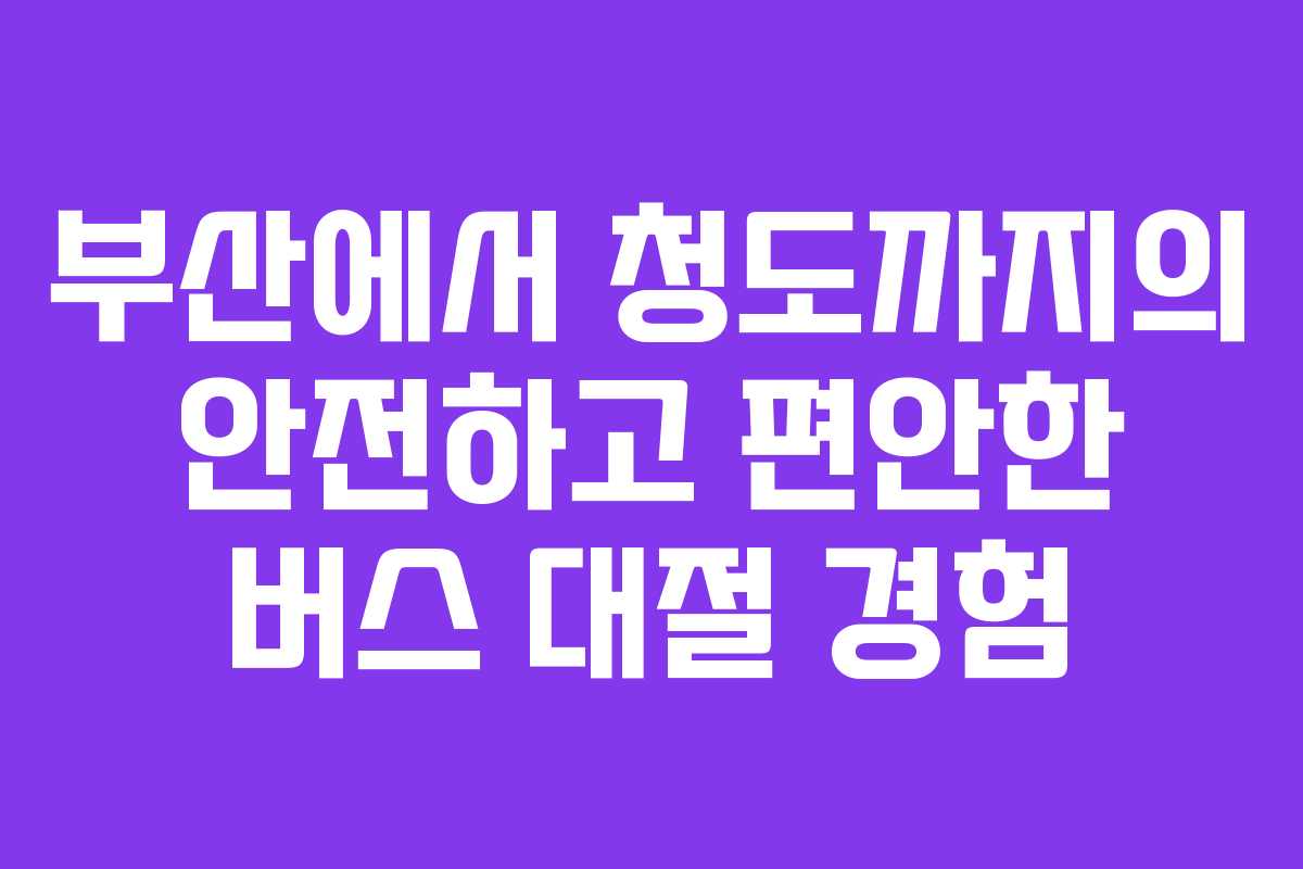 부산에서 청도까지의 안전하고 편안한 버스 대절 경험