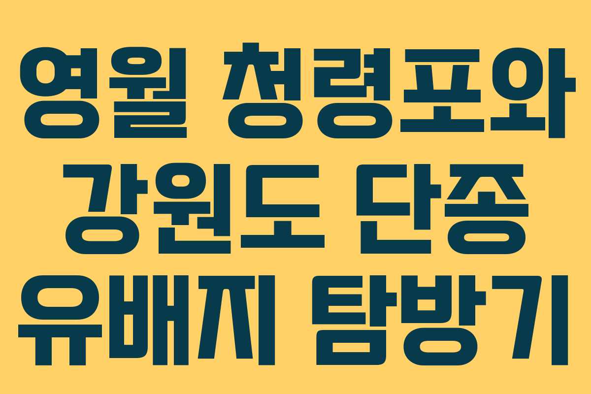 영월 청령포와 강원도 단종 유배지 탐방기