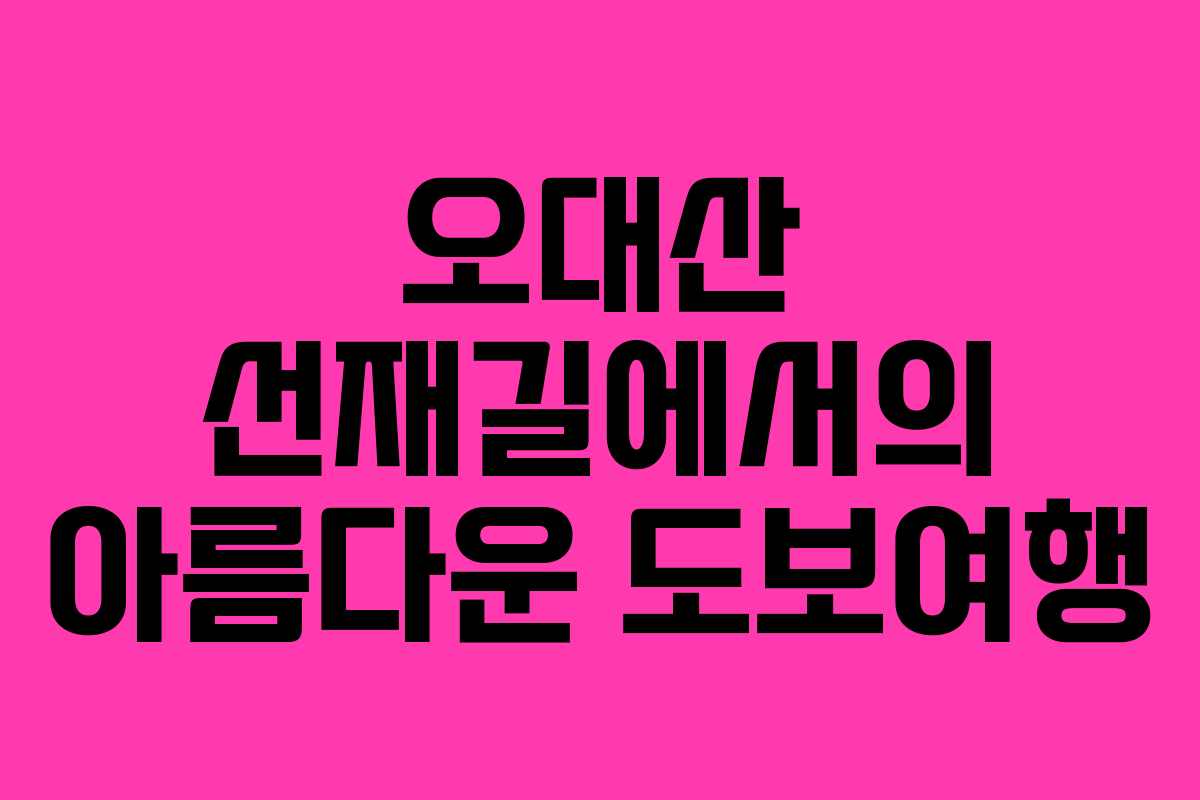 오대산 선재길에서의 아름다운 도보여행