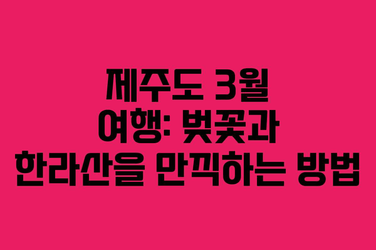 제주도 3월 여행: 벚꽃과 한라산을 만끽하는 방법