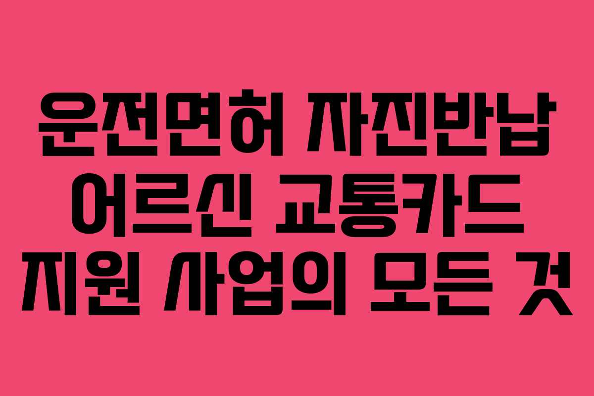 운전면허 자진반납 어르신 교통카드 지원 사업의 모든 것