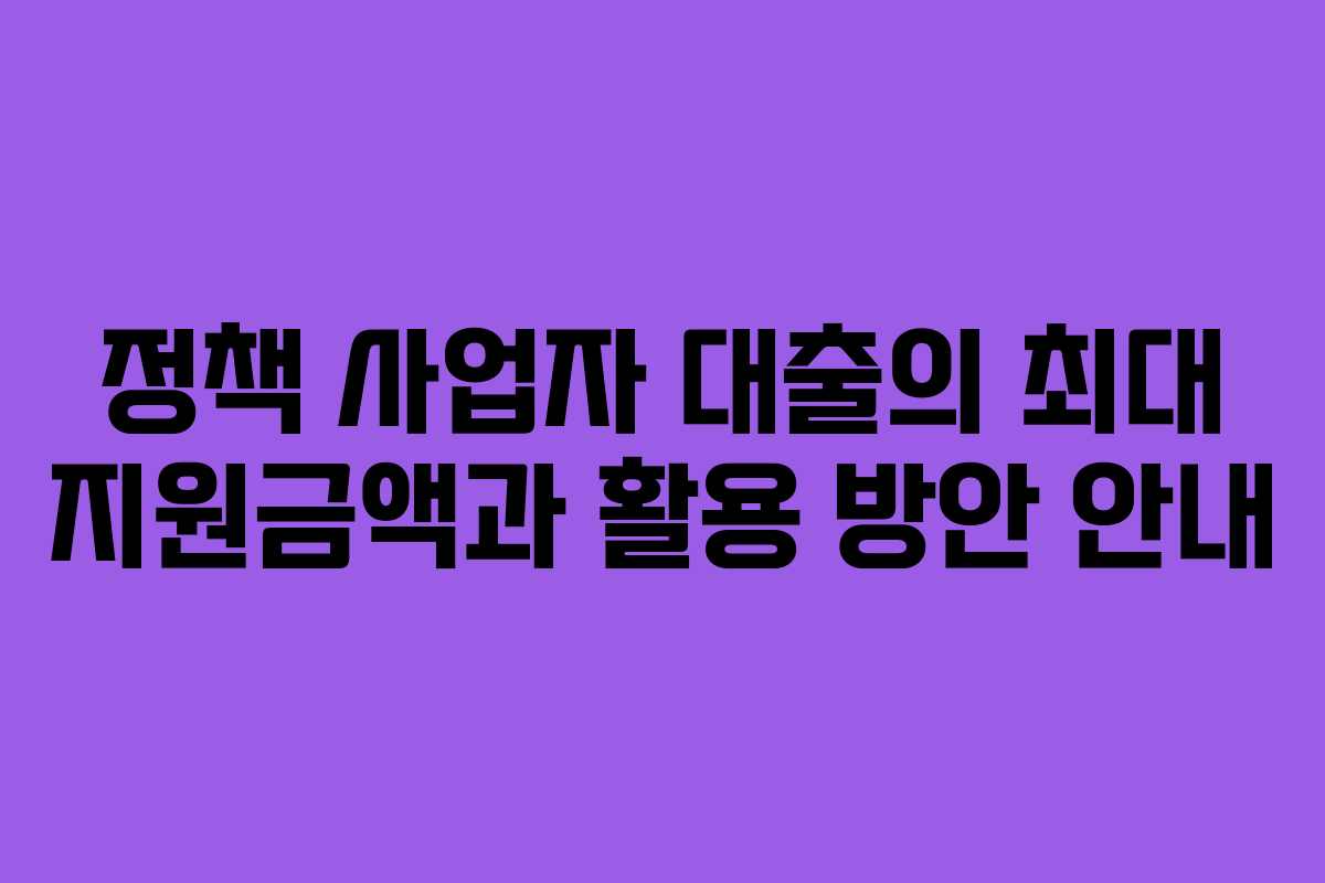 정책 사업자 대출의 최대 지원금액과 활용 방안 안내