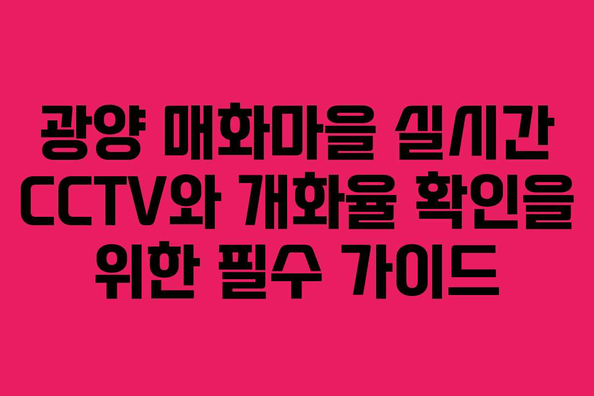 광양 매화마을 실시간 CCTV와 개화율 확인을 위한 필수 가이드