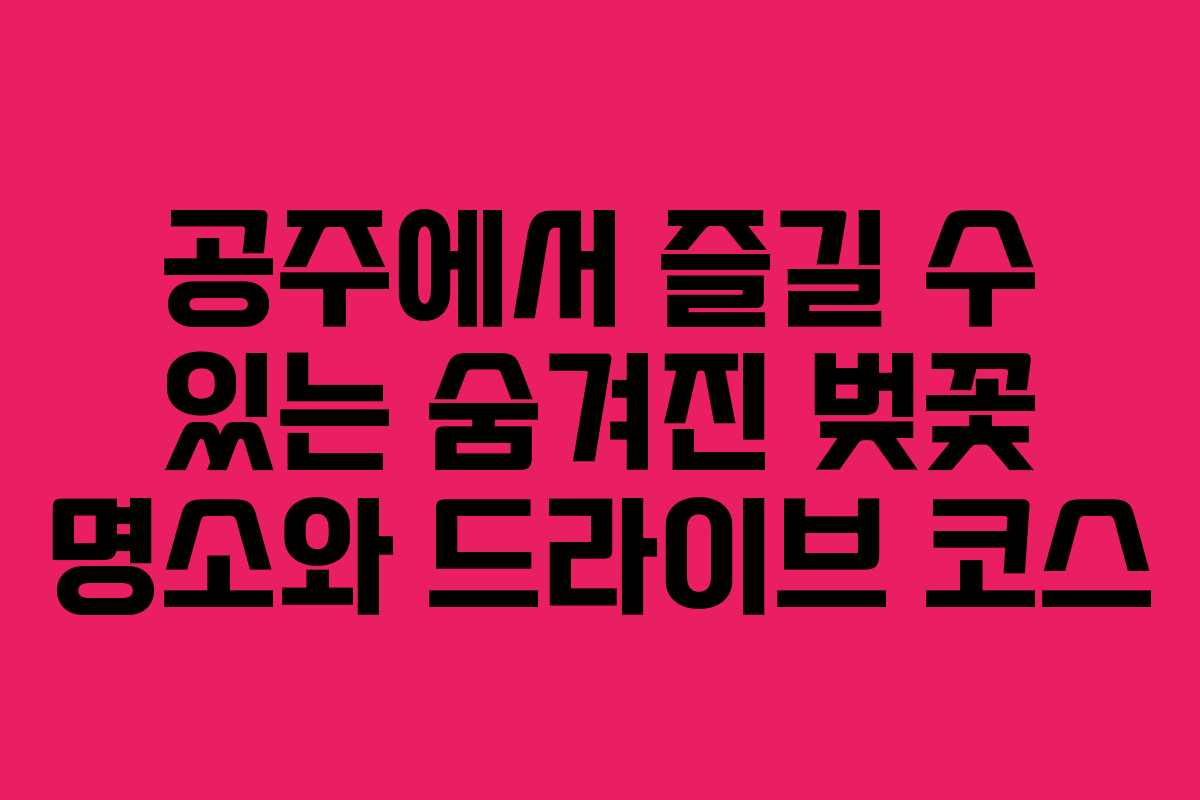 공주에서 즐길 수 있는 숨겨진 벚꽃 명소와 드라이브 코스