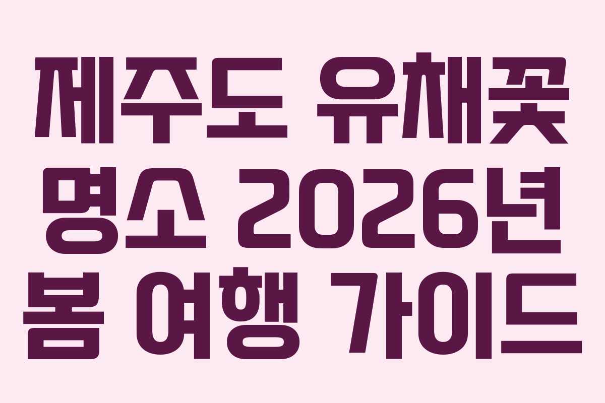 제주도 유채꽃 명소 2026년 봄 여행 가이드