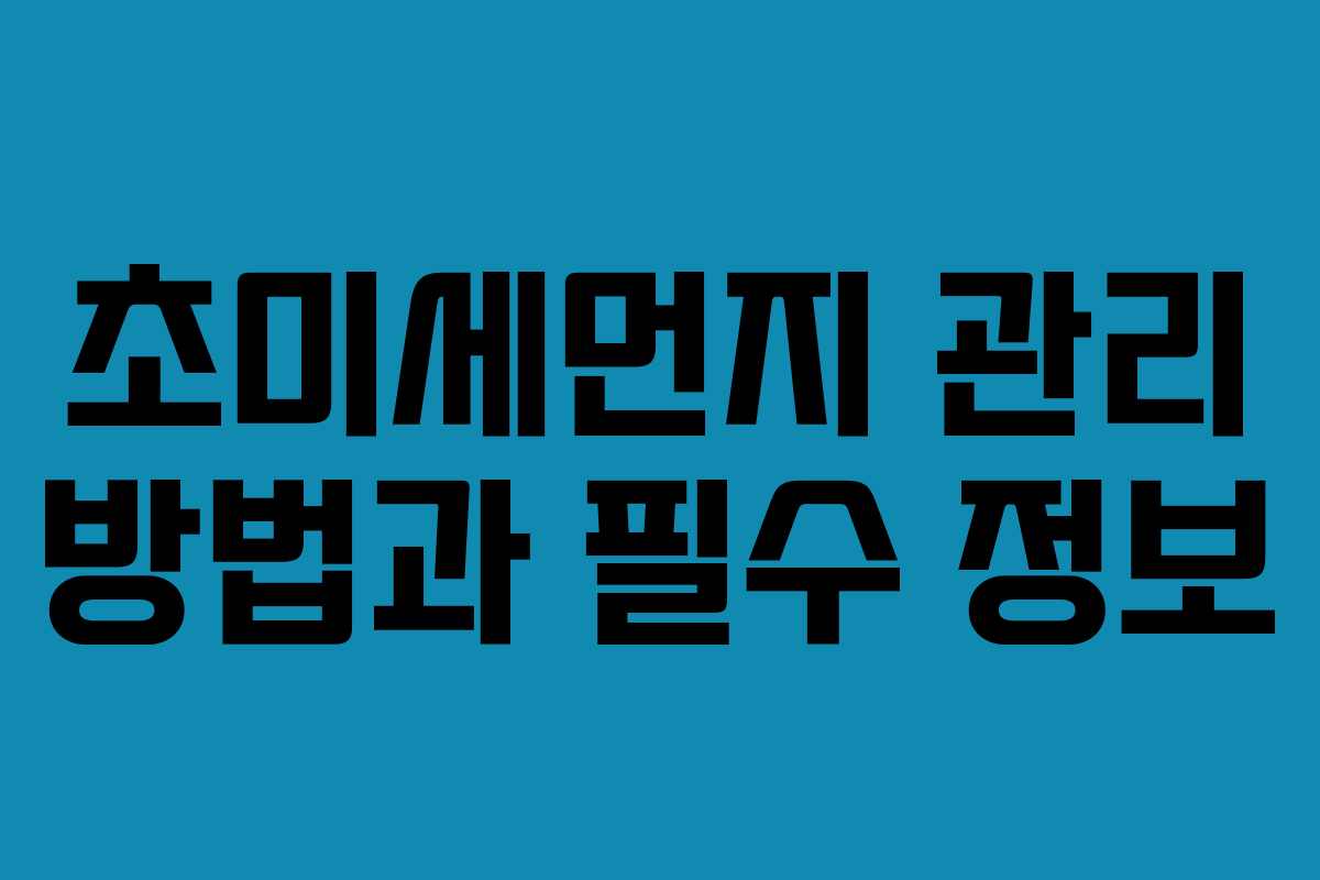 초미세먼지 관리 방법과 필수 정보