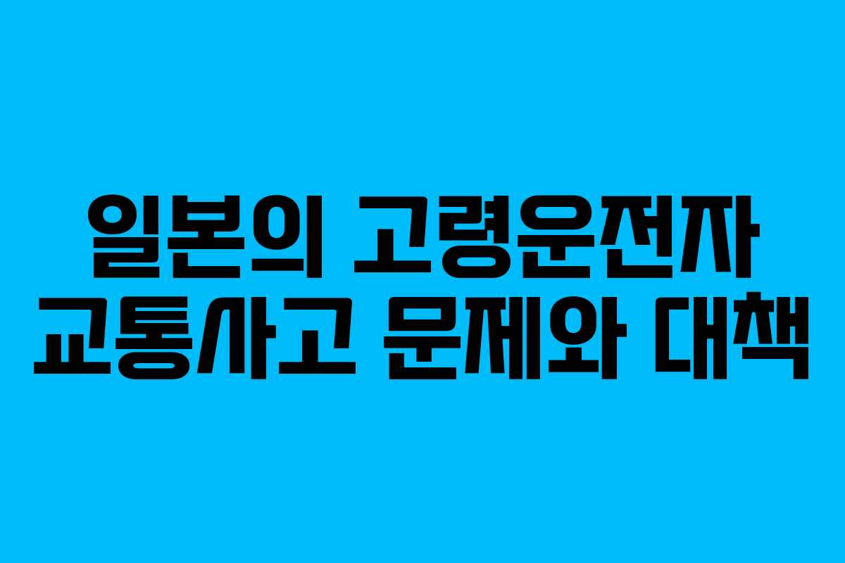 일본의 고령운전자 교통사고 문제와 대책