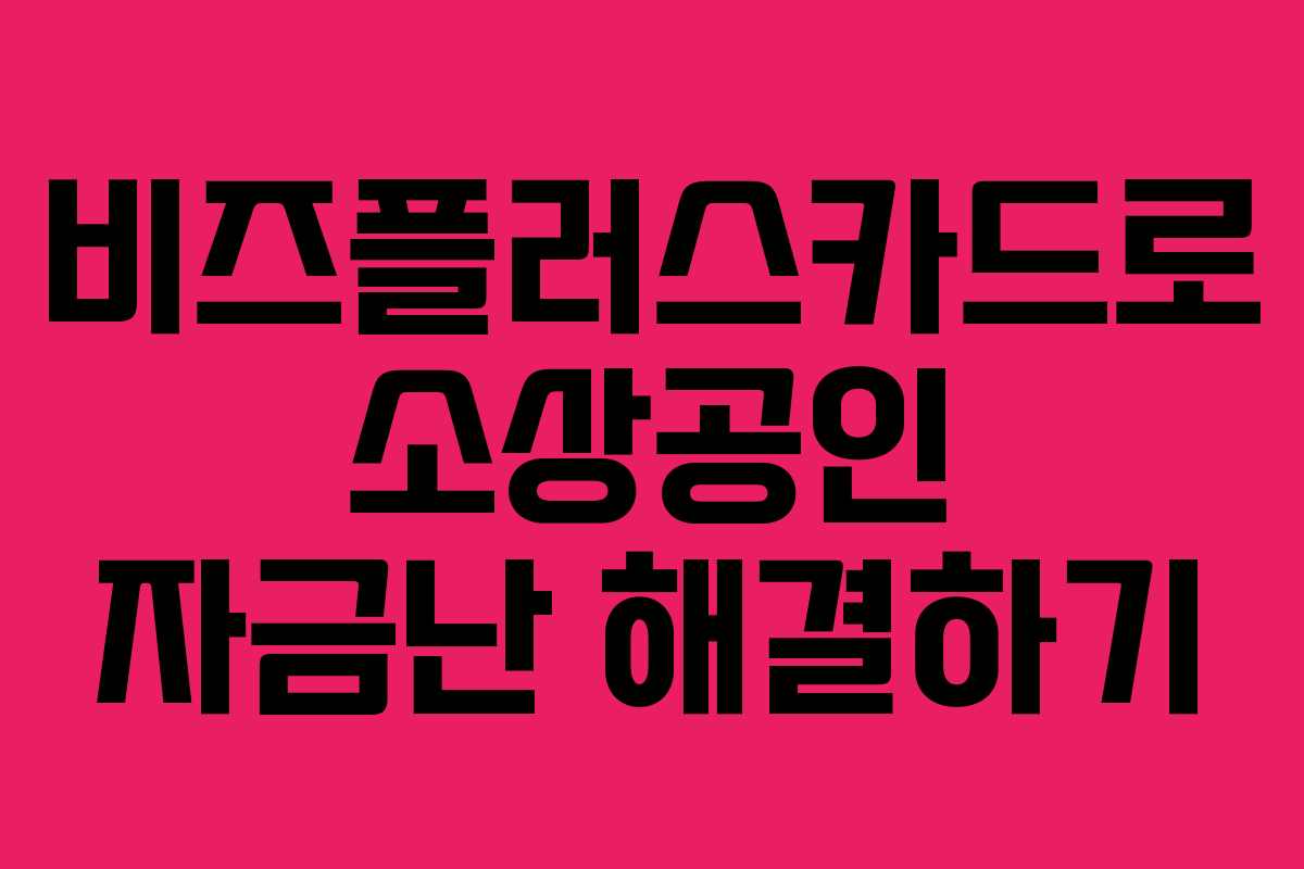 비즈플러스카드로 소상공인 자금난 해결하기