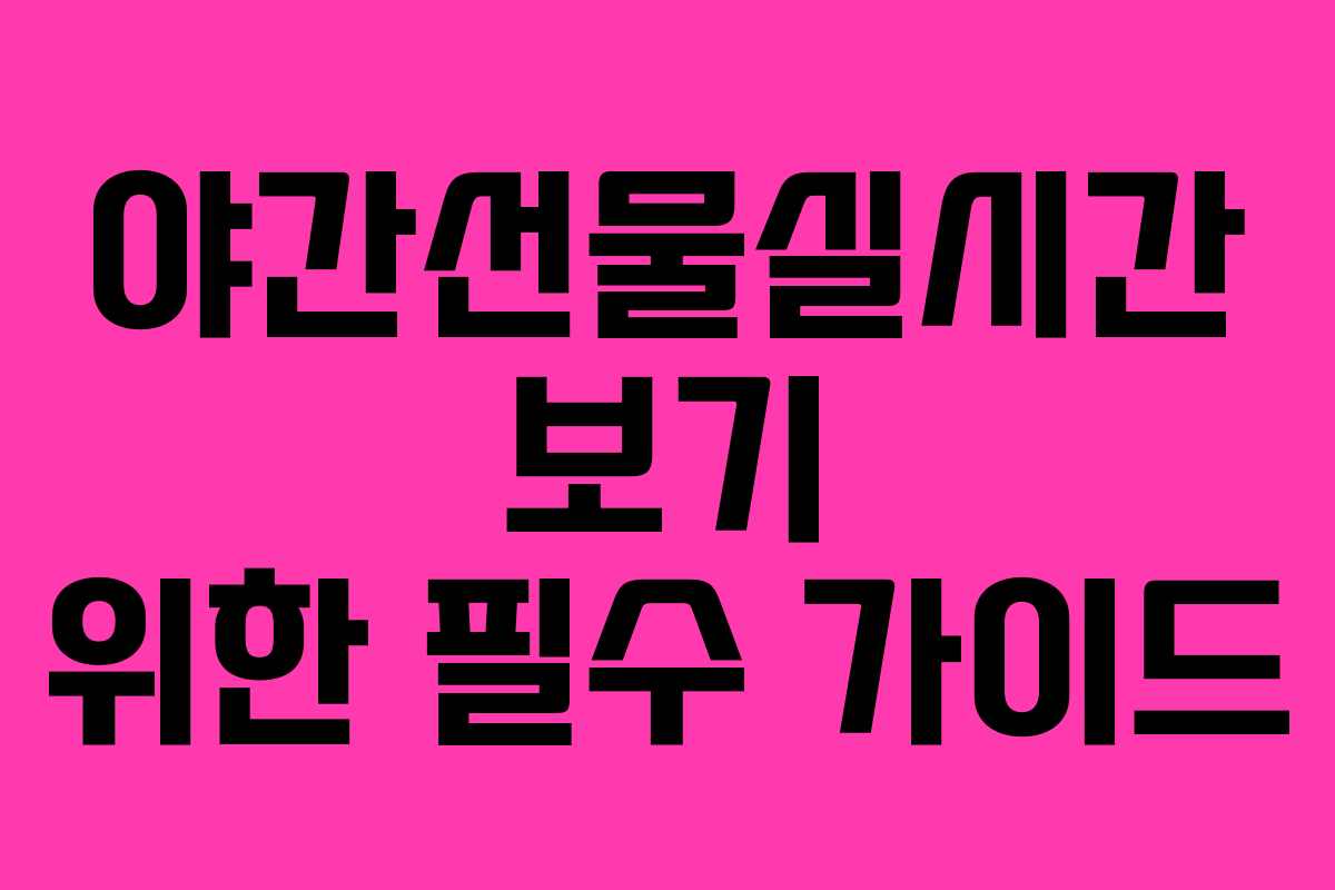야간선물실시간 보기 위한 필수 가이드