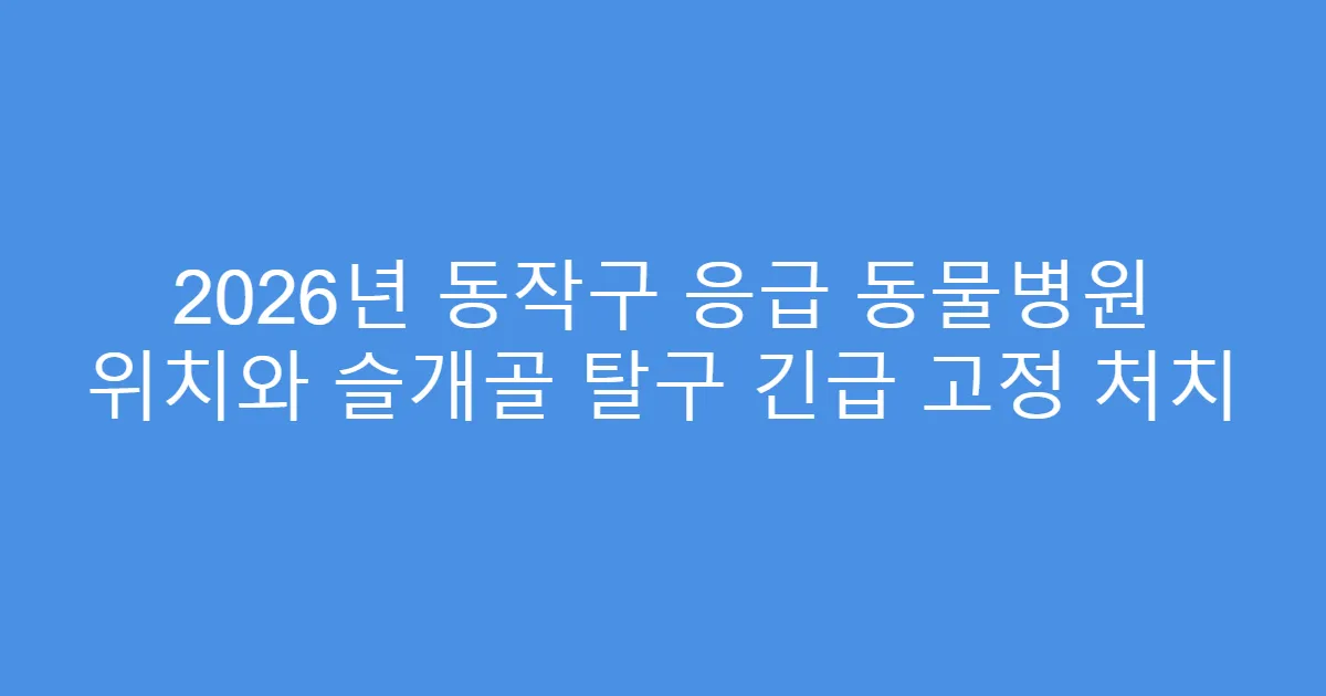 2026년 동작구 응급 동물병원 위치와 슬개골 탈구 긴급 고정 처치
