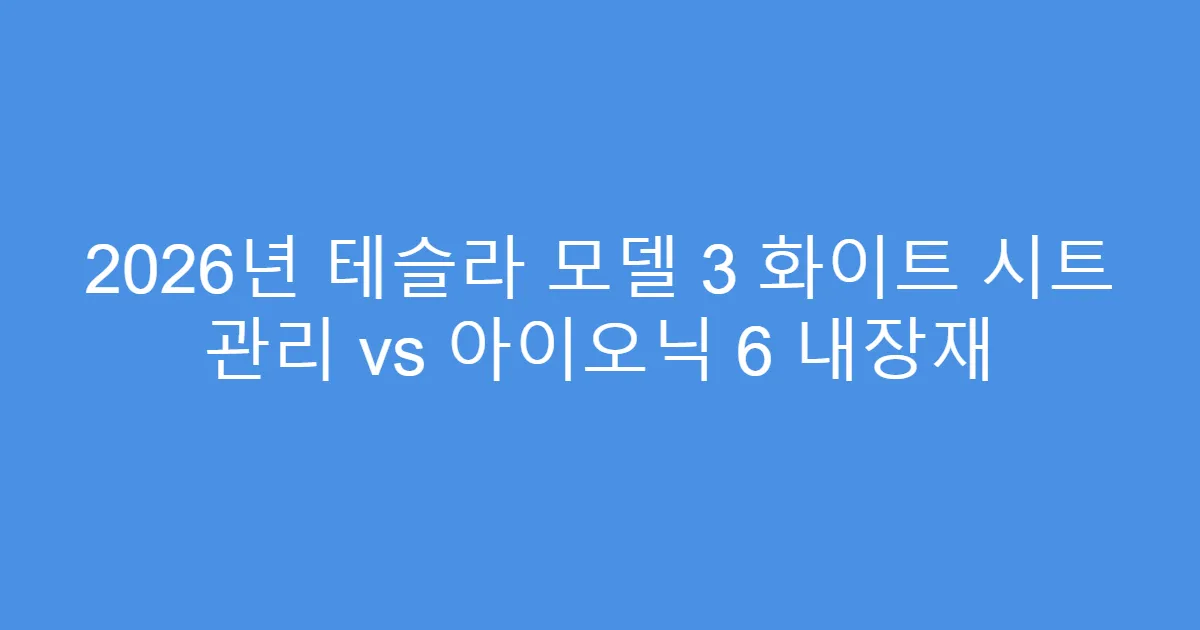 2026년 테슬라 모델 3 화이트 시트 관리 vs 아이오닉 6 내장재