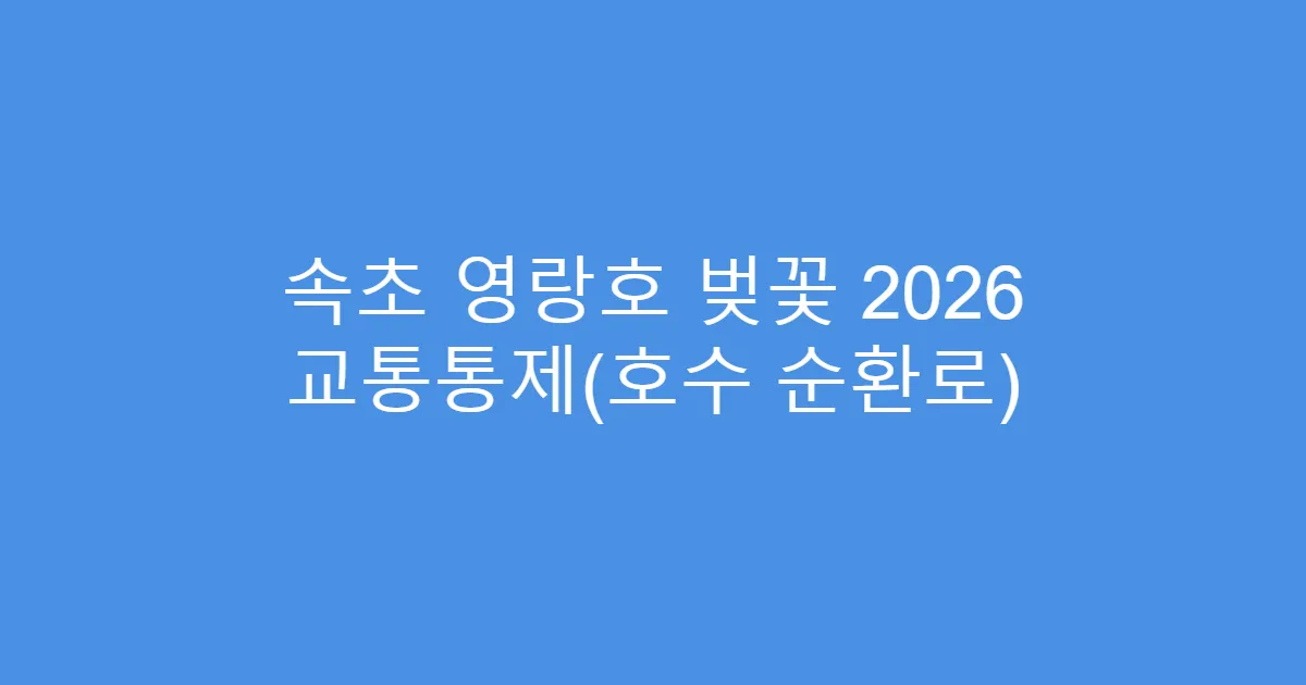 속초 영랑호 벚꽃 2026 교통통제(호수 순환로)